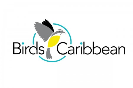 BirdsCaribbean's new logo.