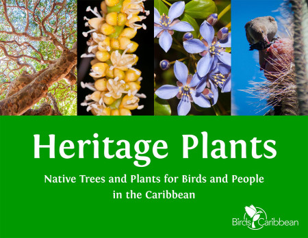 This ebook was created as a habitat restoration resource for International Migratory Bird Day 2015.