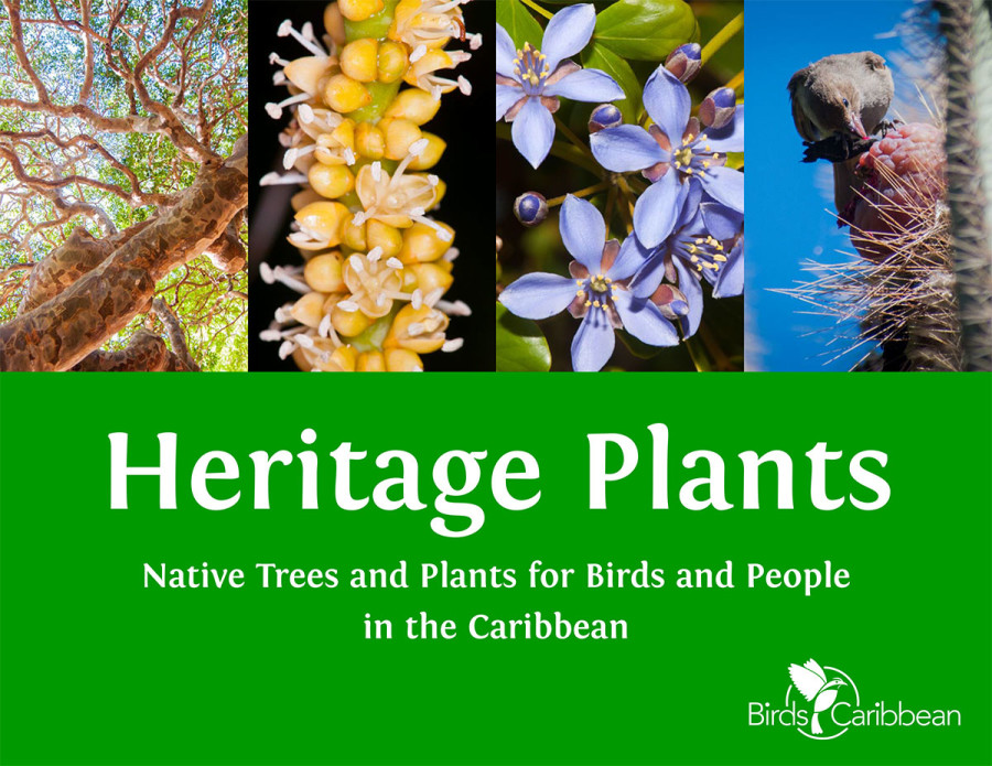 Heritage Plants eBook cover