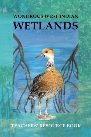 Wondrous West Indian Wetlands