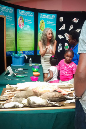 Visitors learn about birds with the help of bird study skins at the the Bahamas National Trust CEBF exhibit at the Mall at Marathon in Nassau, Bahamas. 