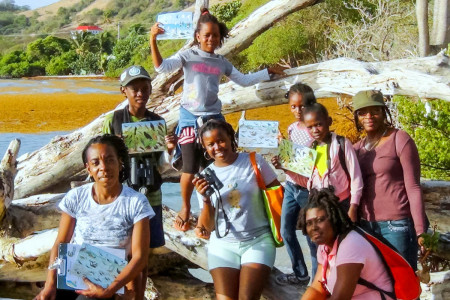  Sustainable Grenadines led several guided bird tours in the Grenadines.