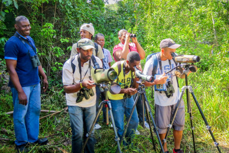 Training participants practicing their bird identification on Burnt Hill Road in Cockpit Country. Photo by Lisa Sorenson.