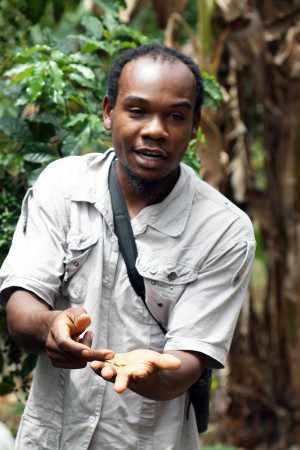 Participant Junior Carson giving his interpretive talk about coffee production and the importance of shade grown crops for birds. Photo by Ancilleno Davis.