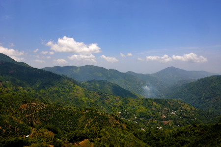 Jamaica itself will play a starring role in the upcoming BirdsCaribbean meeting. Pictured here are the Blue Mountains, recently named a UNESCO World Heritage Site. (Photo by Ted Eubanks)