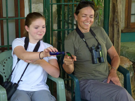 Fun with Hummingbirds at Rocklands by Wendy Lee.