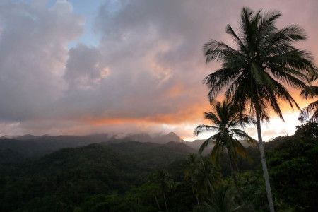 Mountains of Dominica. (photo by Adam Brown)
