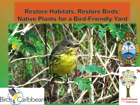 BirdsCaribbean webinars are fast becoming a can't-miss attraction.