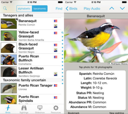 From images to audio, a wealth of information about the birds of the Puerto Rico bank just went pocket-size.