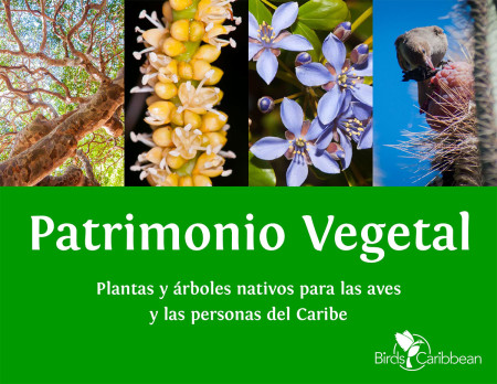 Patrimonio Vegetal is part of BirdsCaribbean's effort to provide resources in multiple languages.