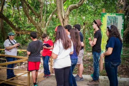 Ingrid Flores, Regional Coordinator of IMBD Caribbean, takes students birding in a recently restored wetland habitat at the Pterocarpus Forest at Palmas del Mar.