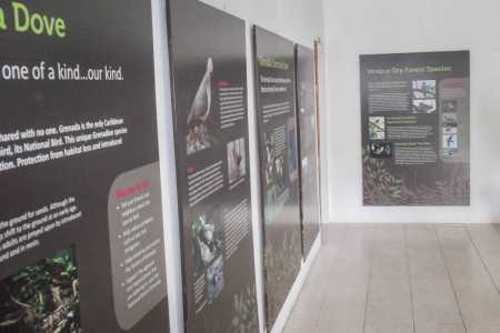 Interpretive signage in the visitor center showcases the dove and its dry forest habitat.