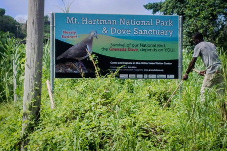 Billboards were placed at parish boundaries. (Billboard design by Madelaine Smith, photo by Greg Homel/Natural Encounters)