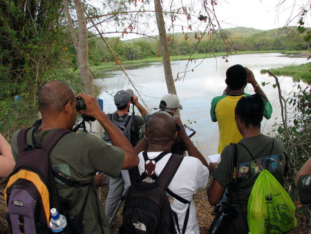 Spring-Pond-in-Jamaica-by-Lisa-Sorenson