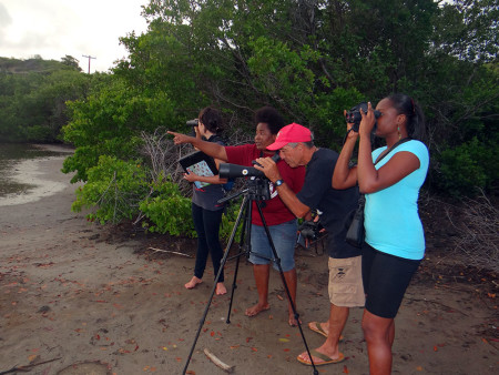 Orisha-Joseph-and-her-team-counting-waterbirds-at-Belmont-Salt-Pond,-Union-Island,-St.-Vincent-and-the-Grenadines