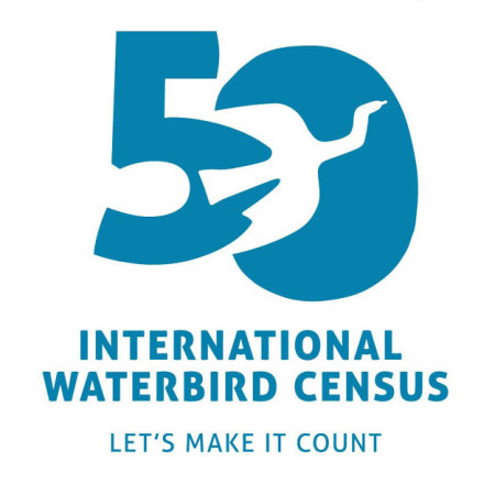 IWC logo with caption: The special logo for the 50th Anniversary of the IWC. Everyone is invited to use the logo for any purpose, such as articles, websites, newsletters and t-shirts. Everyone participating in the count is encouraged to share photos and stories on social media using the hashtags #IWC50 and #WaterbirdsCount