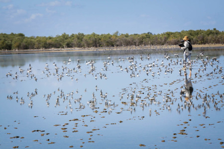 Braving the elements to count wetland birds in the Dominican Republic (photo by Maria Paulino).