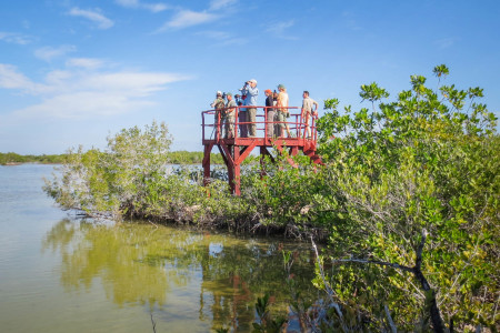 Counting flamingos, herons, egrets and many other waterbirds at Las Salinas, Zapata Swamp. (Photo by Jennifer Wheeler)