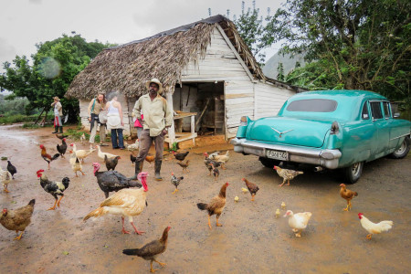 Man with fowl at tobacco farm in Viñales. (Photo by Susan Jacobson)