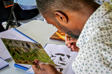 Khoren, who teaches technical drawing at Ferncourt High School, studies the bird identification card and bird shapes.