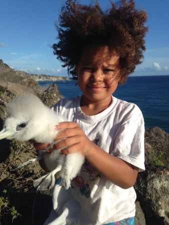 Lalia with Red-billed Tropicbird chick