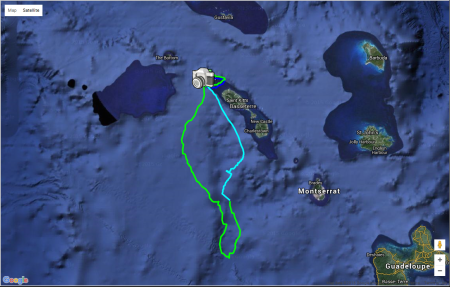 Map showing a single foraging trip of an adult tropicbird in the incubating stage. The bird flew around the island twice and then traveled past Montserrat towards Guadeloupe. The diet of tropicbirds primarily consists of pelagic species such as flying fish and squid.