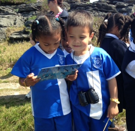 Budding birders learning to identify Bermuda's birds. (photo by Andrew Dobson).