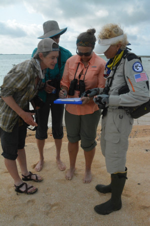 Field team collecting new data on Grand Bahama’s north shore. (Photo © Conservian/ Maureen Lilla)