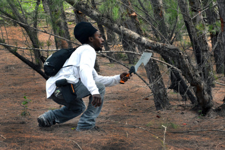 Casuarina pine training and control at Lucaya National Park, Grand Bahama Is. (Photo © Conservian/ Maureen Lilla)