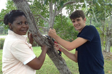 Marilyn Laing and Chad Haddad pruning a tree in the LIS schoolyard. (photo by Erika Gates)