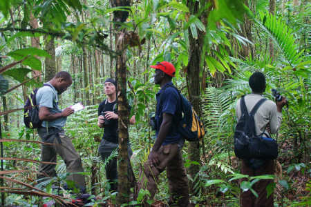 The team practicing point counts in St. Lucia's tropical montane forest. (photo by Pius Haynes)