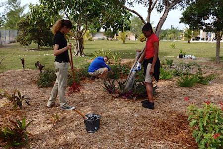 Sophila Clark, Jim Pierson and Brickelle Sands mulch the area after planting (photo by Erika Gates)