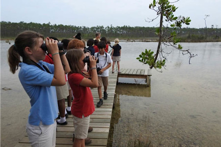 Year 5 class birding from the dock at LIS wetland (photo by Erika Gates)
