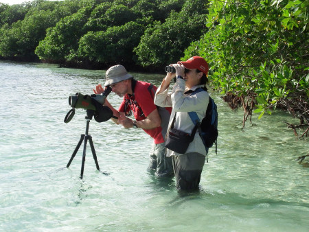 Francois Shaffer (Canadian Wildlife Service) and Ianela Garcia-Lau (University of Havana) surveying for Piping Plover at Cayo Coco, Ciego de Ávila Province, Cuba. (photo by Jen Rock)