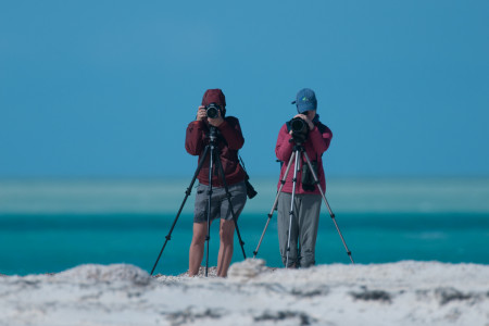 Braving the elements to conduct the census in the Bahamas. (photo by Walker Golder).