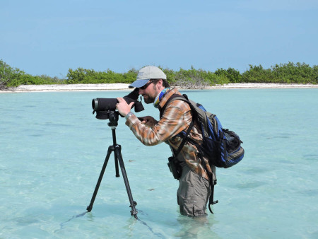 Wet work! Caleb Spiegel (USFWS) looks for plovers on Little Ambergris Cay, TCI. (photo by Craig Watson)