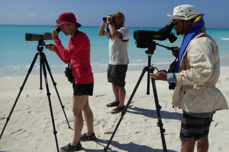 Elise Elliott-Smith, Craig Watson and Eric Salamanca count Piping Plovers on Fort George Cay, Turks and Caicos Islands. (photo by Caleb Spiegel).