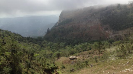 Habitat in Haiti for the Black-capped Petrel.