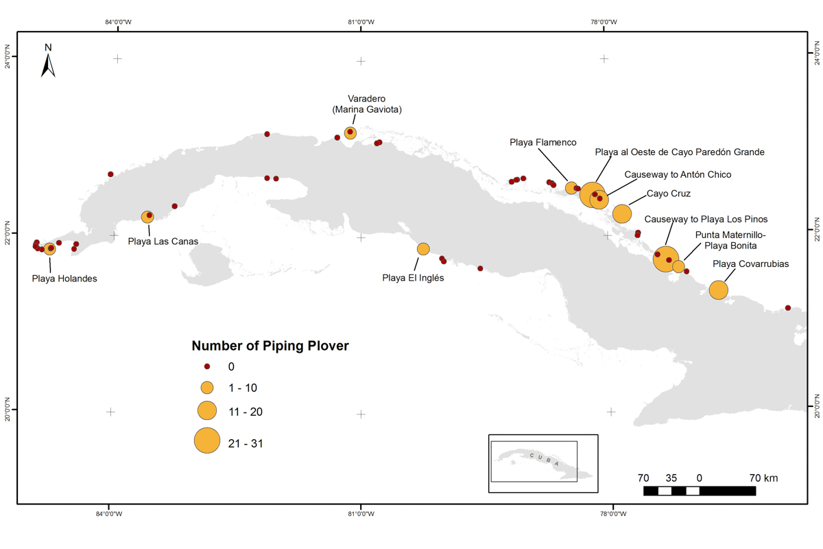 A closer look at Piping Plover numbers at each of the survey sites in Cuba, 2016. Map courtesy of Karen Aguilar Mugica.
