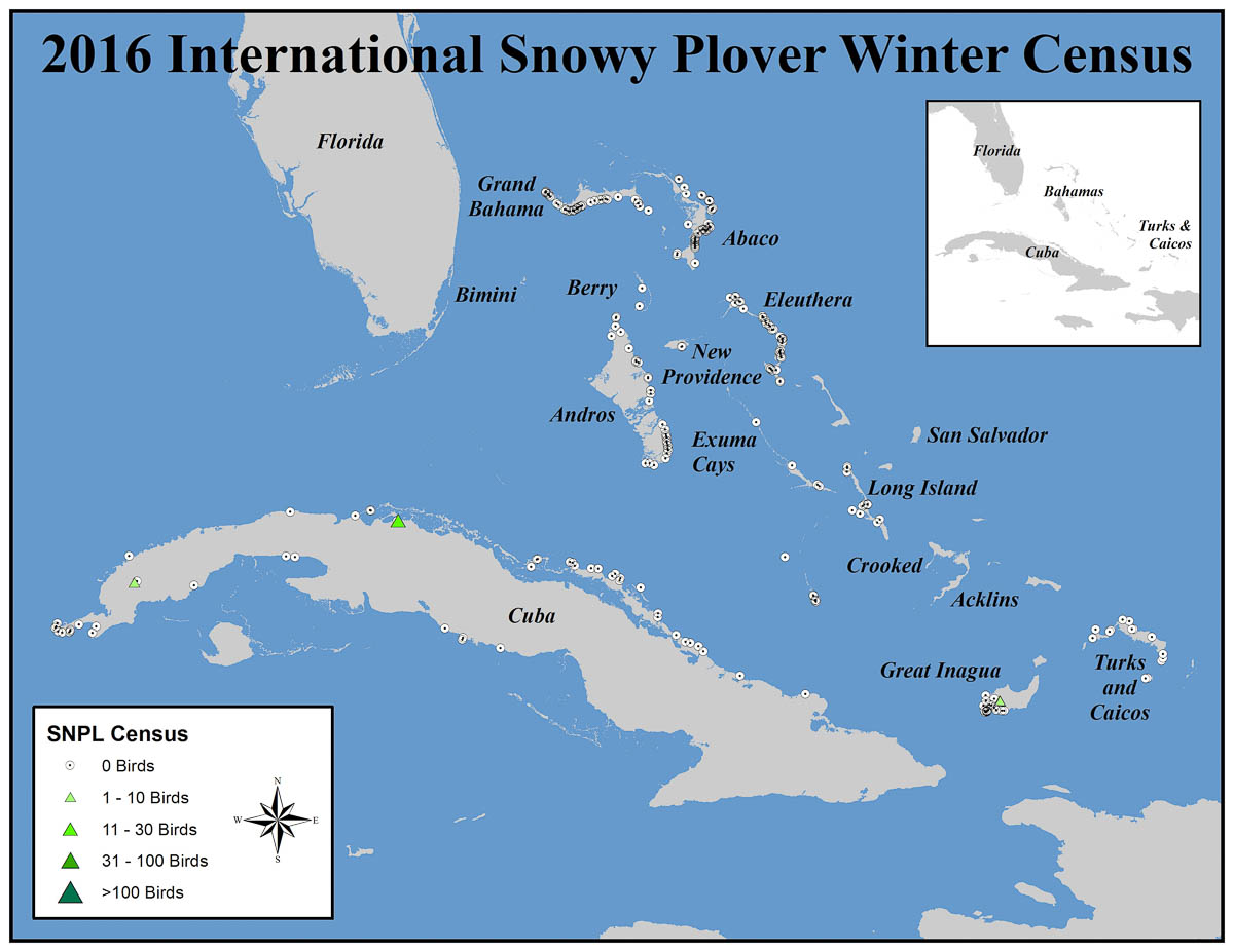 Location and numbers of Snowy Plovers seen in the Bahamas, Turks and Caicos, Islands and Cuba during the 2016 International Piping Plover Winter Census. Map courtesy of Audubon.
