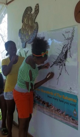 Learning parts of a bird exercise at KIDO Foundation with secondary school students. (photo by Marina Fastigi)