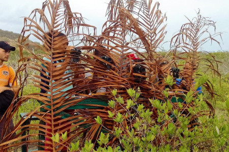 Harvey Vale schoolchildren behind the Blind to spot birds feeding in the Petit Caranage wetland. (photo by Marina Fastigi)