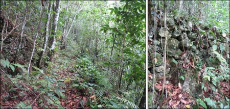 Old bridle trail (left) built from stacked karst rock (right) running along the valley floor of Barbecue Bottom. It is from this path that several vantage points allow an observer to view Ram Goat Cave on the cliff wall to the west. (Photos by Seth Inman and John Zeiger)