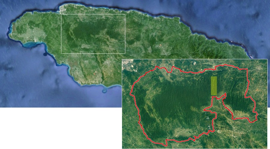 Satellite imagery of Jamaica, West Indies with the Cockpit Country region enlarged. The red line denotes the most current boundary of the Cockpit Country (source: Windsor Research Centre), and the yellow rectangle indicates Barbecue Bottom.
