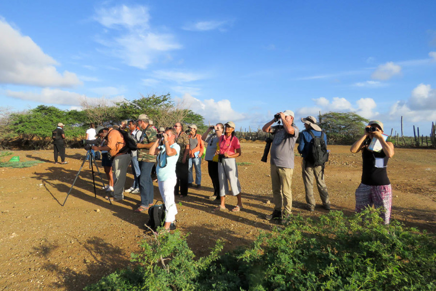 Early morning birding practice at LVV Wetland/ Wastewater Treatment Plant, a fantastic place to see shorebirds, ducks, flamingos, and other waterbirds. (photo by Lisa Sorenson)