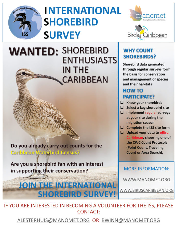 International Shorebird Survey (ISS) Flyer for the Caribbean.