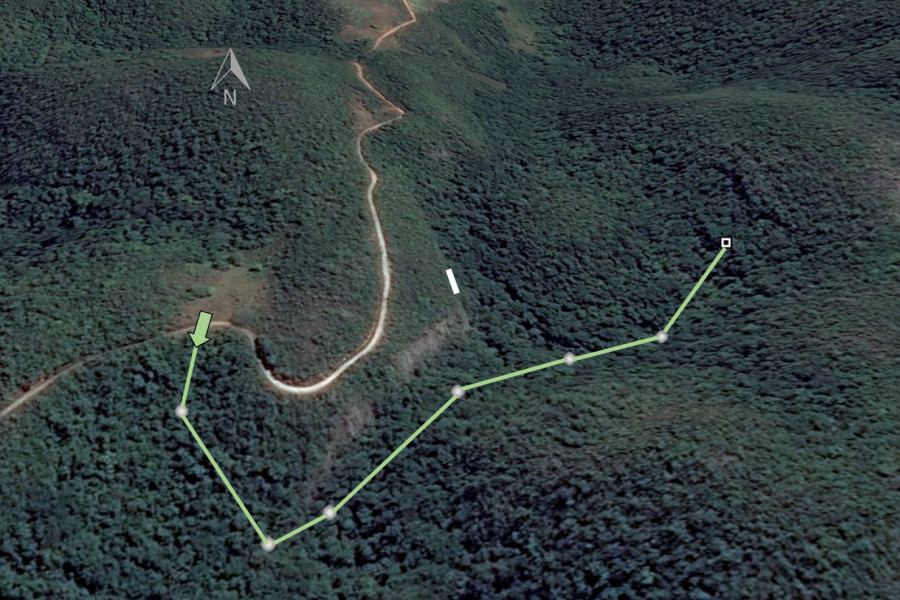 Satellite imagery with diagram depicting (i) our entry point from Burnt Hill / Barbecue Bottom Road (green arrow; 18.336450, -77.558283) down into Barbecue Bottom, (ii) our observation viewpoint from along the old bridle trail (black and white box; 18.337583, -77.555500), and (iii) Ram Goat Cave (thick white line; 18.337038, -77.557038).