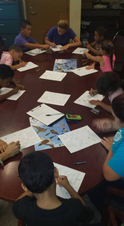 Migratory birds and the importance of protected areas were the subject of Vieques National Wildlife Refuge celebration of Refuge Week. (Photo by Erick Bermúdez)