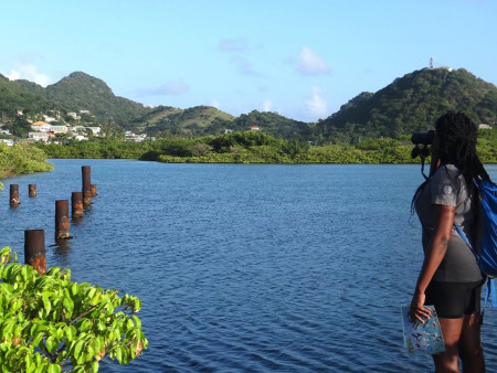 One of the CWC surveyors at Ashton Lagoon, Union Island, St. Vincent and the Grenadines. (photo by Kristy Shortte)