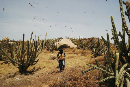 BVI Conservation Department's Atoya George in the field at Fallen Jerusalem. (photo by Jost Van Dykes Preservation Society)